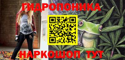 дживик Дубна